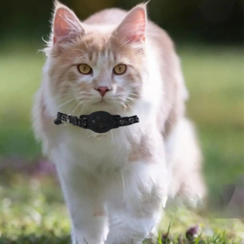 GPS Cat Tracker Collar