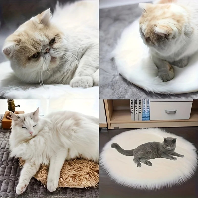 USB Heated Pet Pad